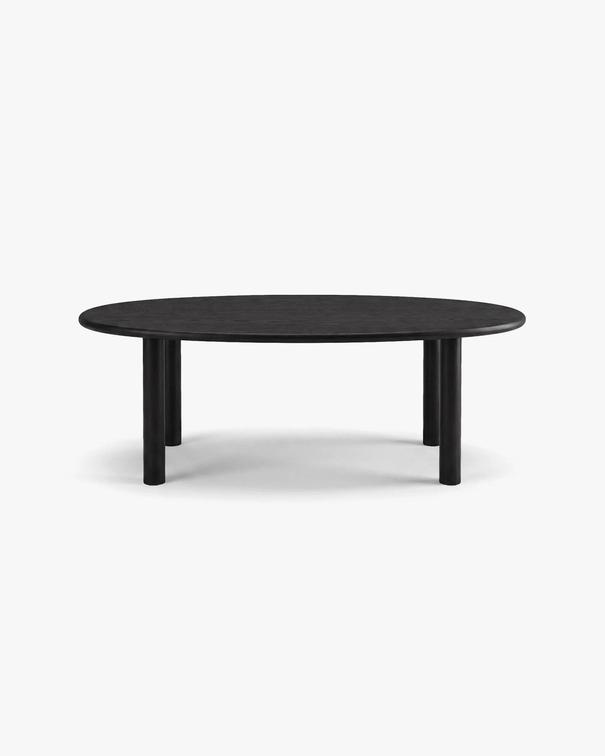 Noli Black oak