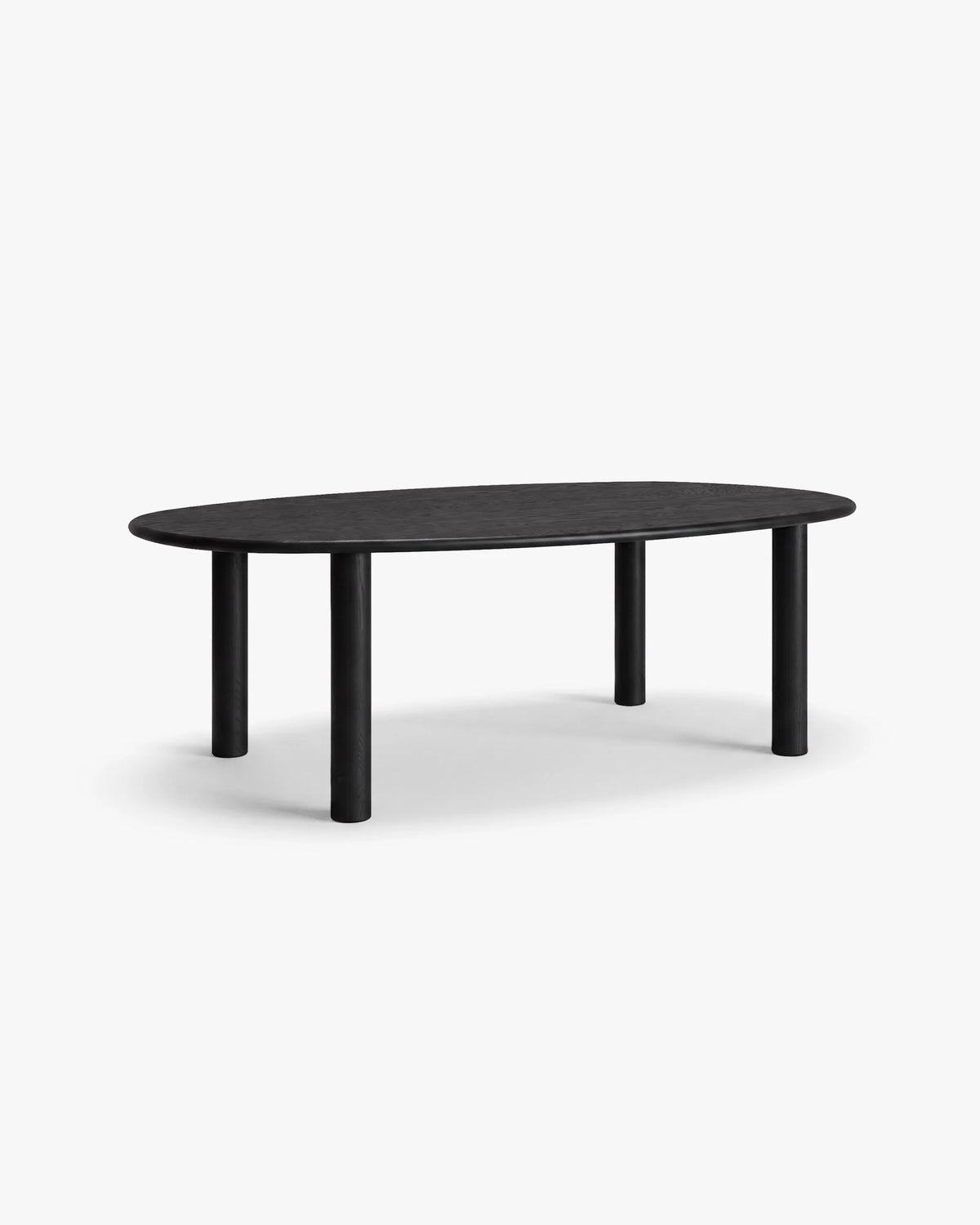 Noli Black oak