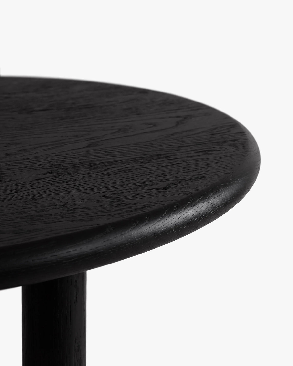 Noli Black oak