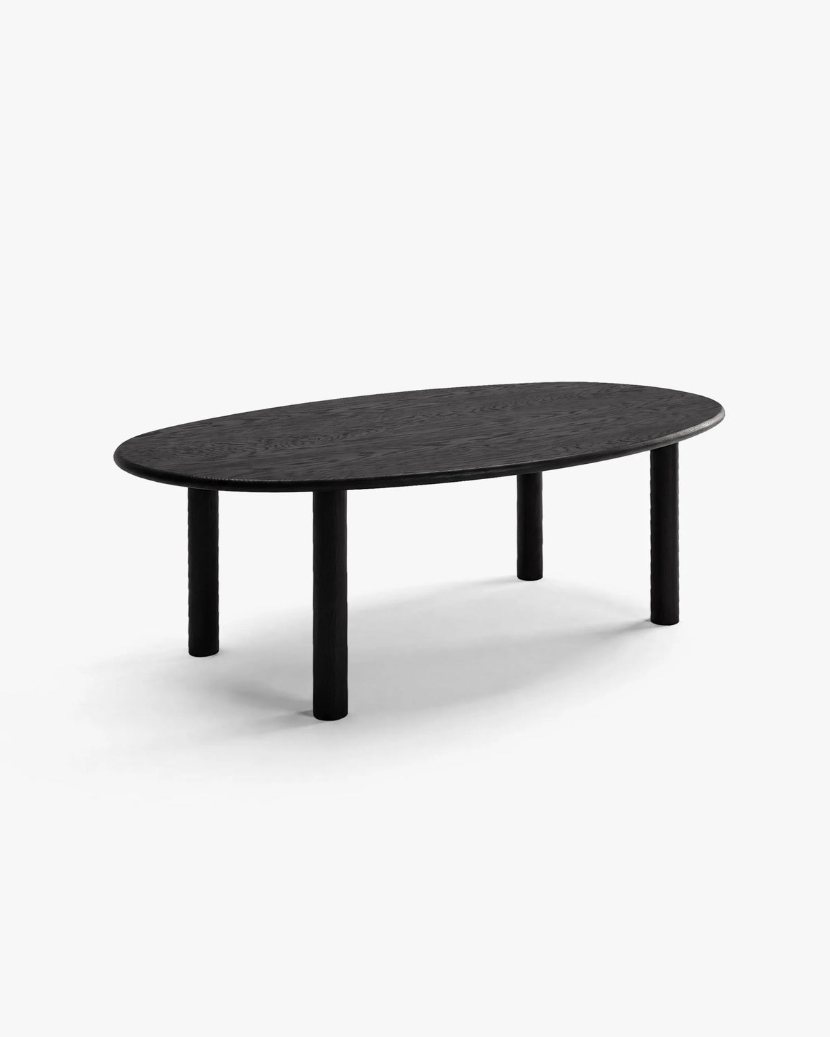 Noli Black oak